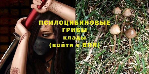 дживик Абаза