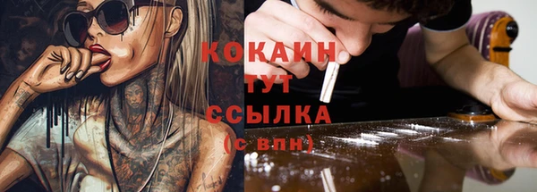 индика Алзамай