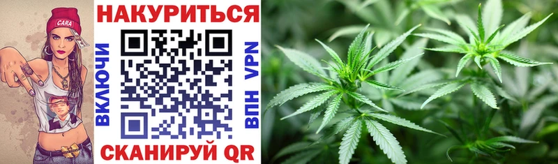 Бошки марихуана Bruce Banner Новочеркасск